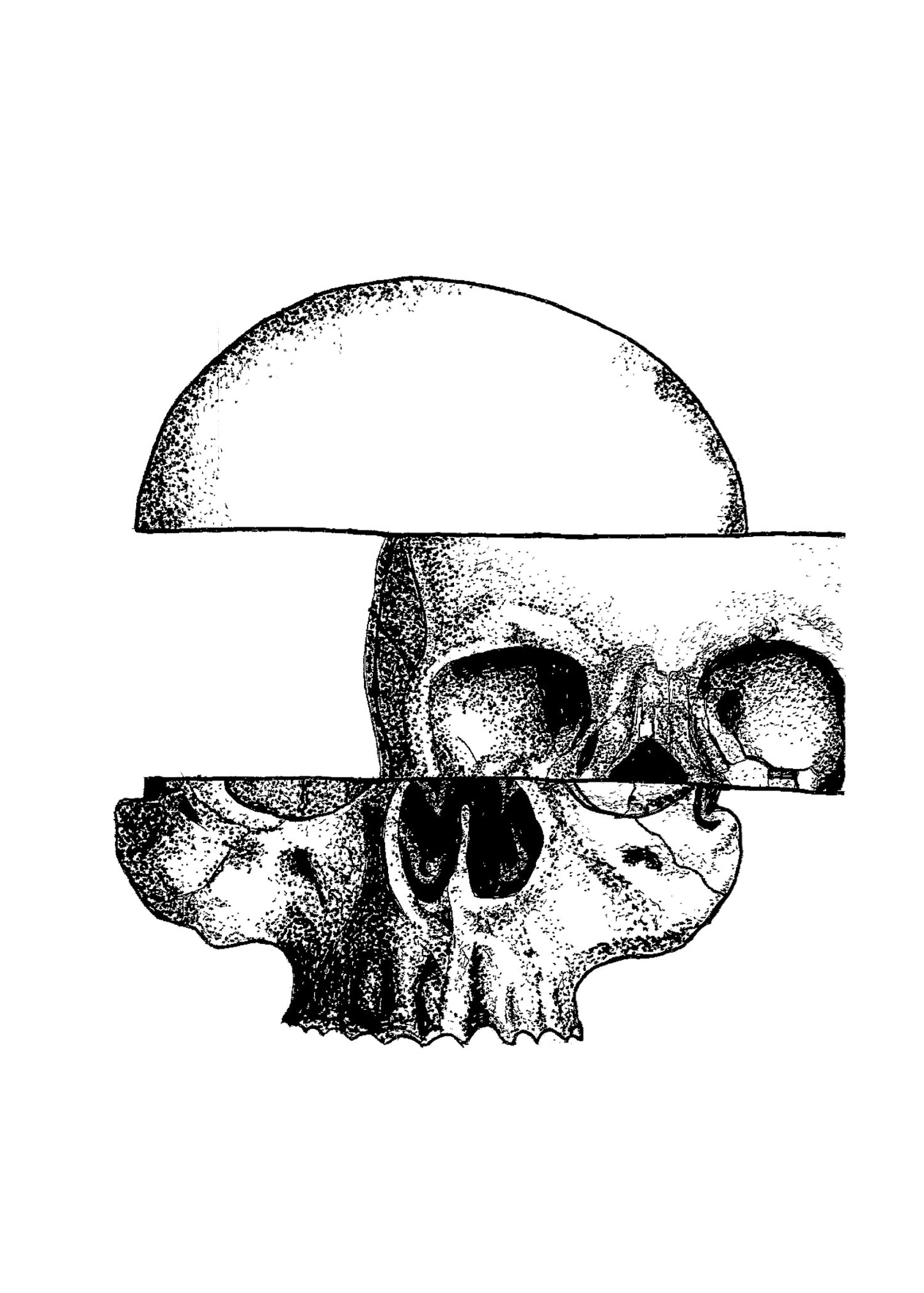 Fractured Mortality