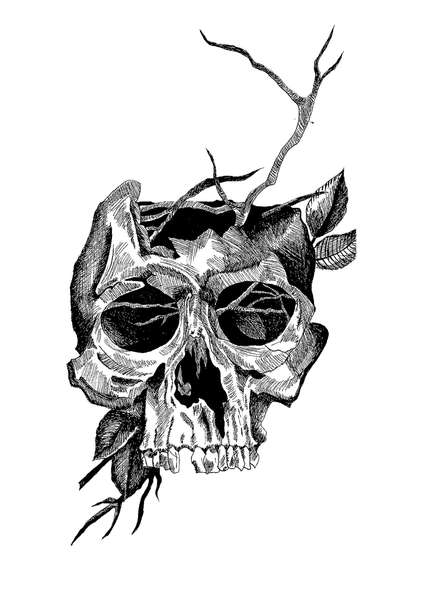 Nature's Keepsake
