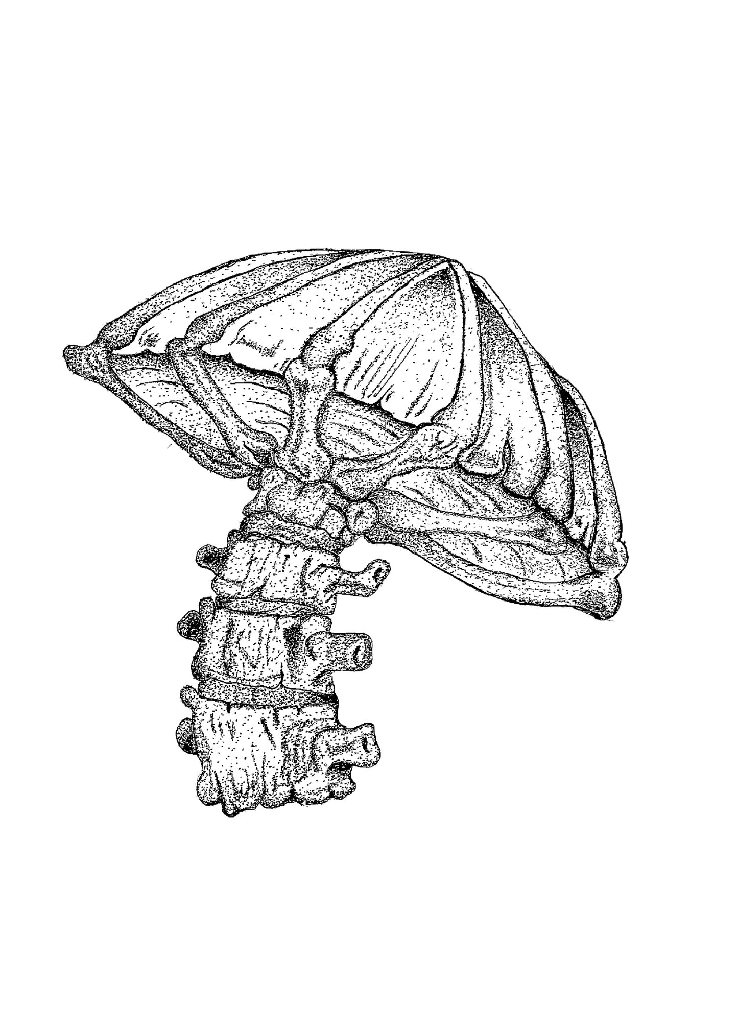 Carrion Bloom
